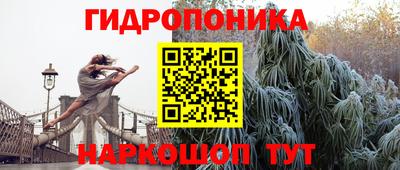 spice Рыбинск