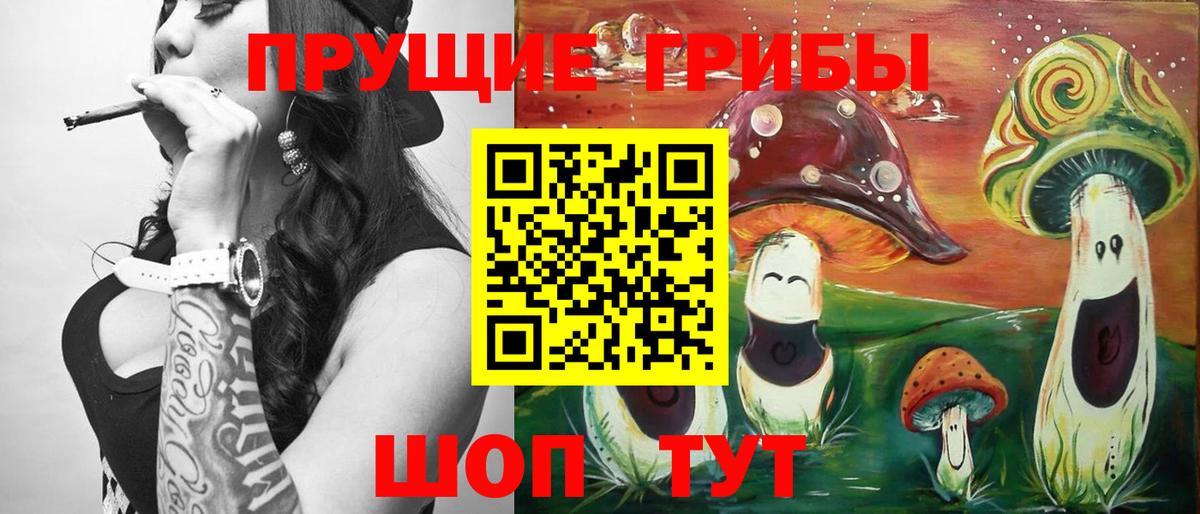 Галлюциногенные грибы GOLDEN TEACHER  сколько стоит  Вход с VPN  Отрадный  Галлюциногенные грибы ЛСД 