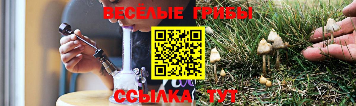 Галлюциногенные грибы GOLDEN TEACHER Отрадный
