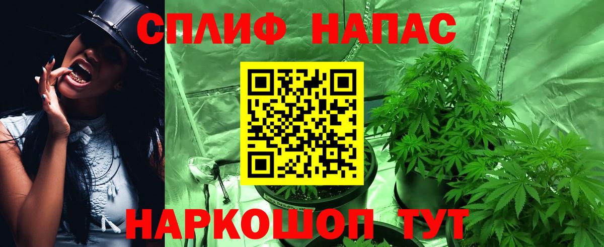 Шишки марихуана марихуана  Вход с VPN  МАРИХУАНА SATIVA & INDICA  МАРИХУАНА VHQ  Отрадный  Шишки марихуана White Widow 